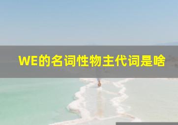 WE的名词性物主代词是啥