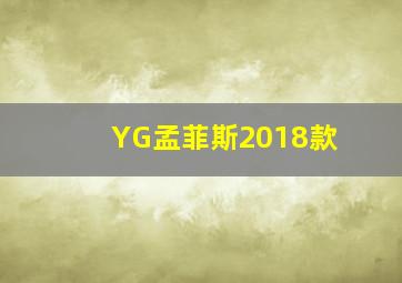 YG孟菲斯2018款