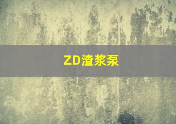 ZD渣浆泵