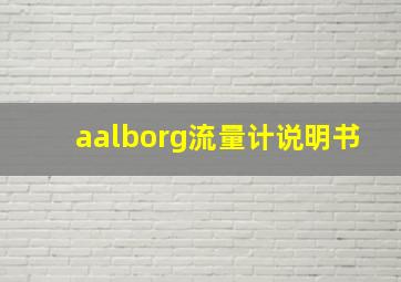 aalborg流量计说明书