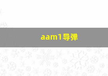 aam1导弹