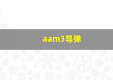 aam3导弹