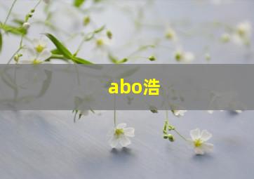 abo浩