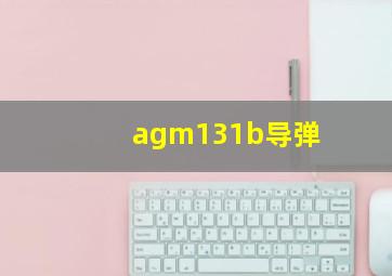 agm131b导弹