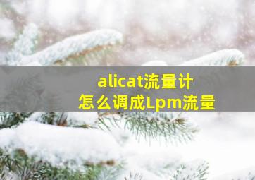 alicat流量计怎么调成Lpm流量