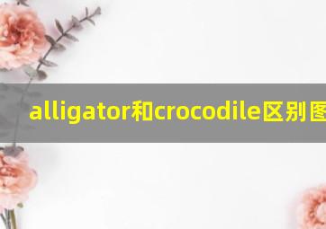 alligator和crocodile区别图片