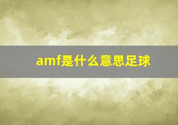 amf是什么意思足球