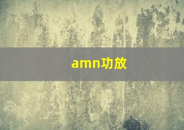 amn功放