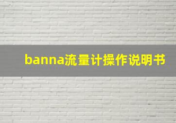 banna流量计操作说明书