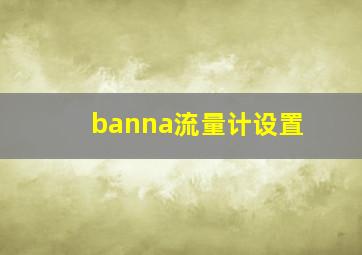 banna流量计设置