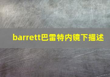 barrett巴雷特内镜下描述