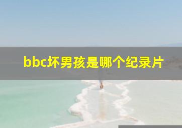 bbc坏男孩是哪个纪录片