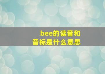 bee的读音和音标是什么意思