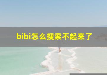 bibi怎么搜索不起来了