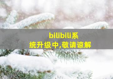 bilibili系统升级中,敬请谅解