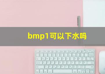 bmp1可以下水吗