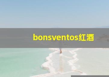 bonsventos红酒