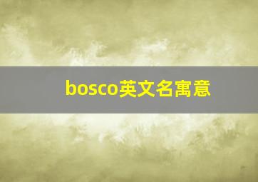 bosco英文名寓意