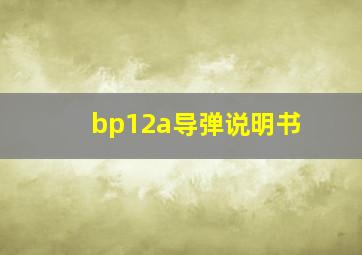 bp12a导弹说明书