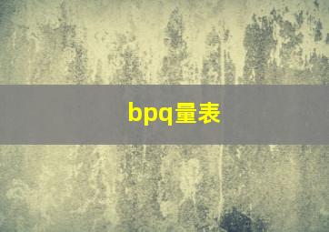 bpq量表