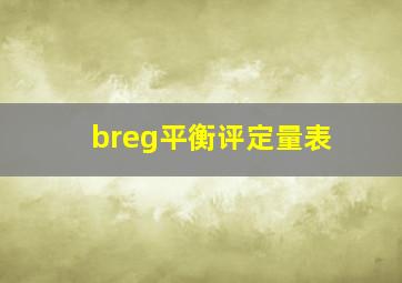 breg平衡评定量表