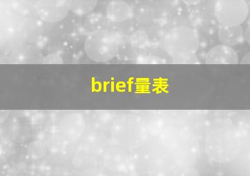 brief量表