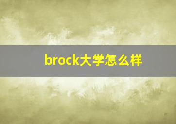 brock大学怎么样