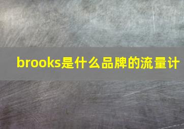 brooks是什么品牌的流量计