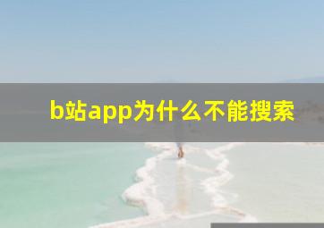 b站app为什么不能搜索