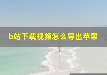 b站下载视频怎么导出苹果