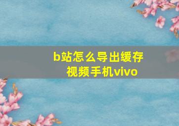 b站怎么导出缓存视频手机vivo