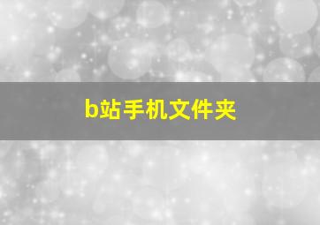 b站手机文件夹