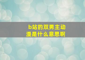 b站的双男主动漫是什么意思啊