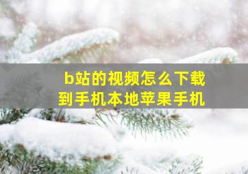 b站的视频怎么下载到手机本地苹果手机