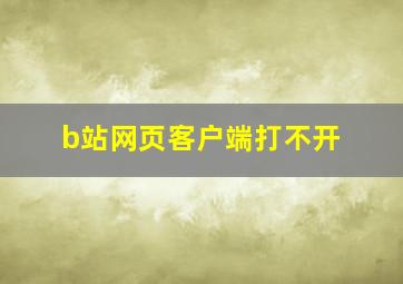 b站网页客户端打不开