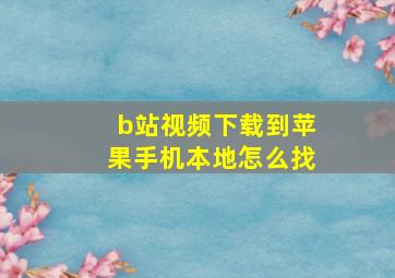 b站视频下载到苹果手机本地怎么找