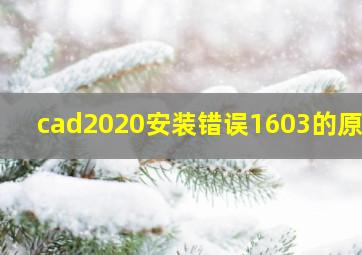 cad2020安装错误1603的原因