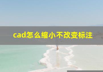 cad怎么缩小不改变标注