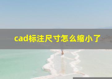 cad标注尺寸怎么缩小了