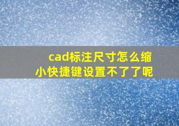 cad标注尺寸怎么缩小快捷键设置不了了呢