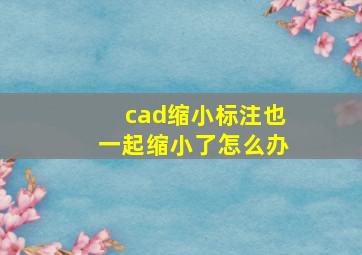 cad缩小标注也一起缩小了怎么办