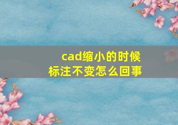 cad缩小的时候标注不变怎么回事