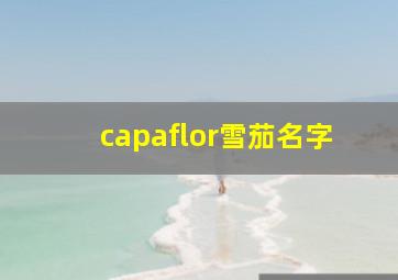 capaflor雪茄名字