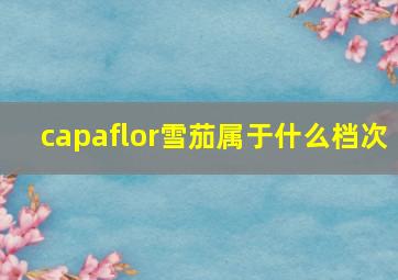 capaflor雪茄属于什么档次