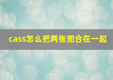 cass怎么把两张图合在一起