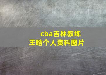 cba吉林教练王晗个人资料图片