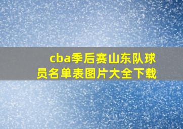 cba季后赛山东队球员名单表图片大全下载