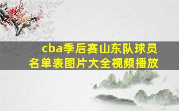 cba季后赛山东队球员名单表图片大全视频播放