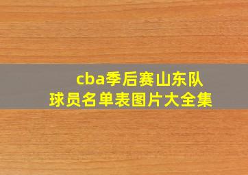 cba季后赛山东队球员名单表图片大全集