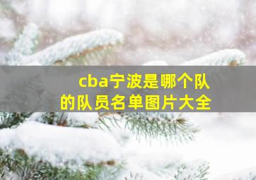 cba宁波是哪个队的队员名单图片大全